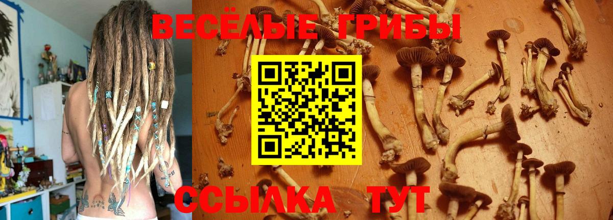 Галлюциногенные грибы Cubensis  Вход с VPN  Ярославль 